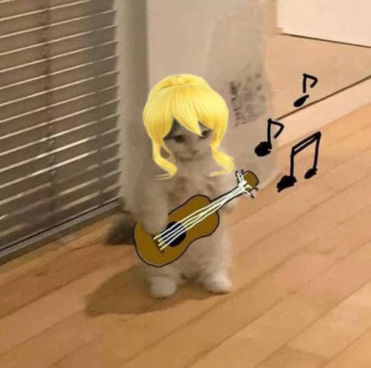 guitar music cute band