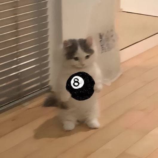 cueball 8ball cute future