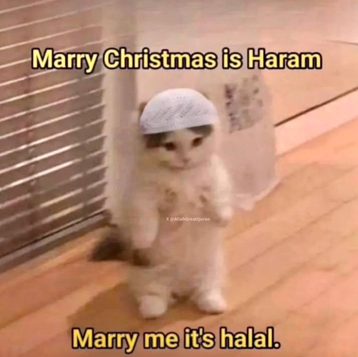 haram halal