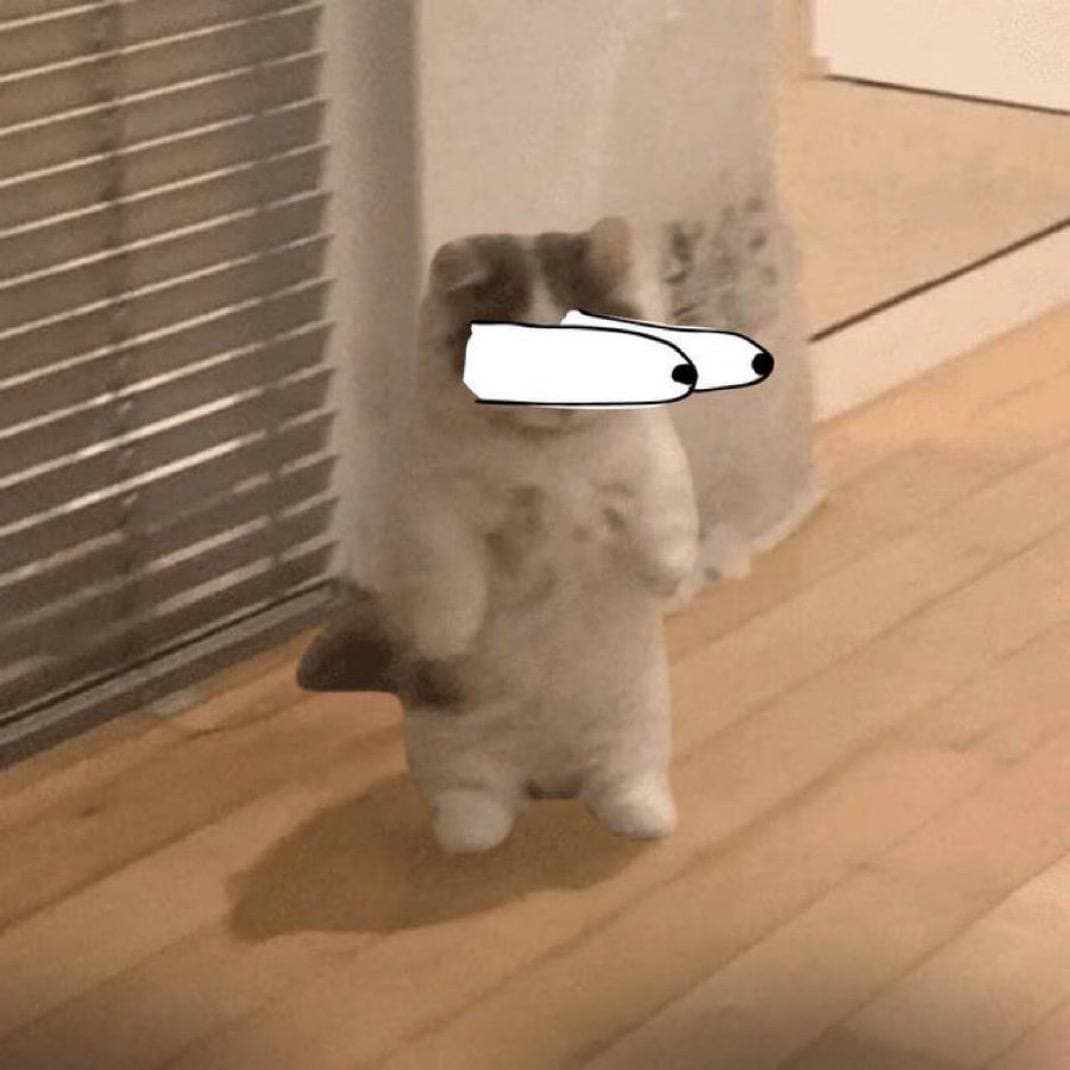 eyes pop surprised cute funny