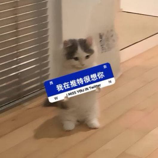 twitter x sign chinese missyou