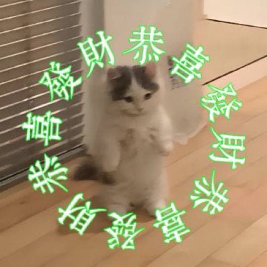 gongxifacai rich money chinese wagmichi