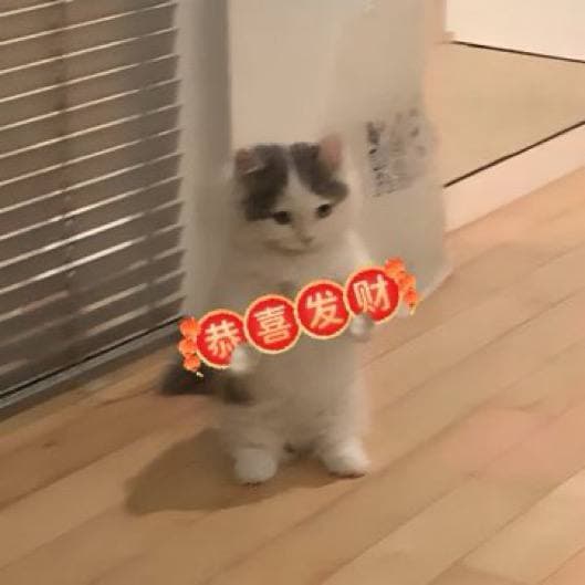 rich money wagmichi gongxifacai chinese