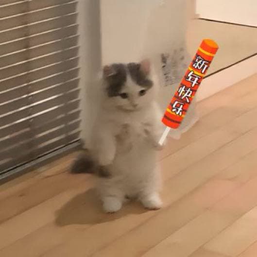 happynewyears celebrate nye chinese