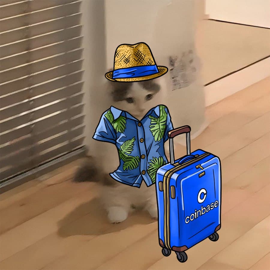 exchanges coinbase suitcase hat
