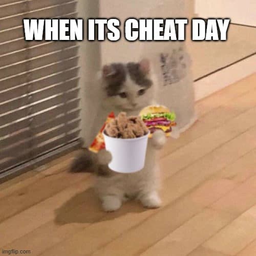 cheatday gym workout food friedchicken burger funny cute