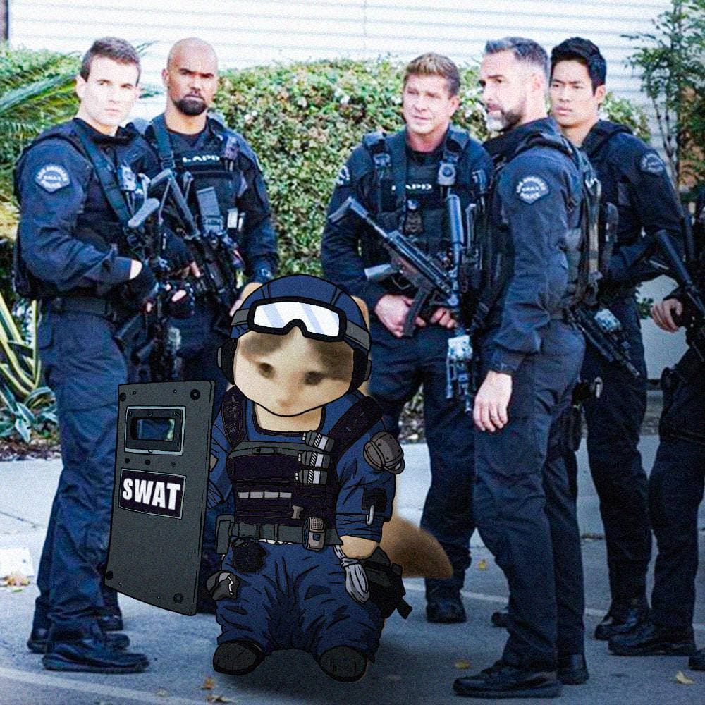 swat fight trenches guns weapons police