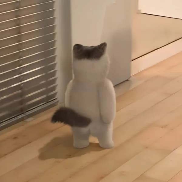bottom butt cute funny
