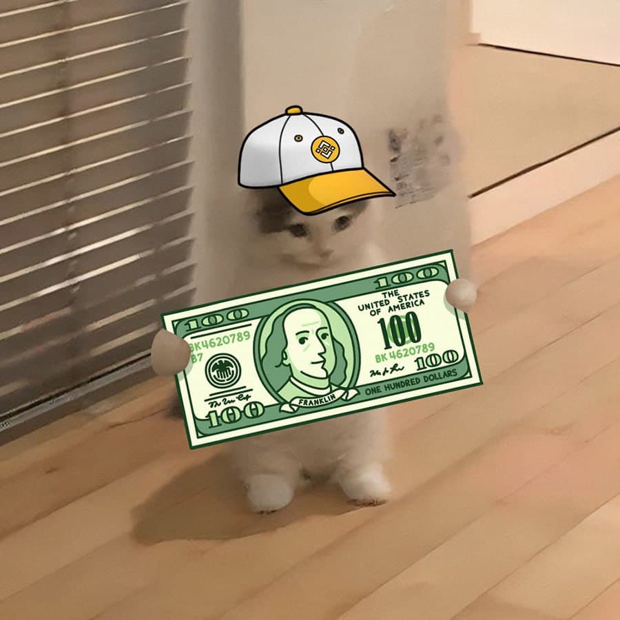 exchanges binance hat money buy wagmichi