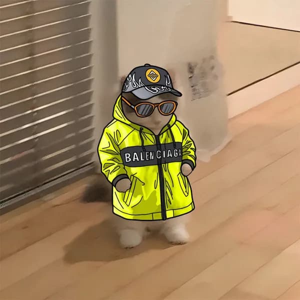 exchanges binance balenciaga drip luxury