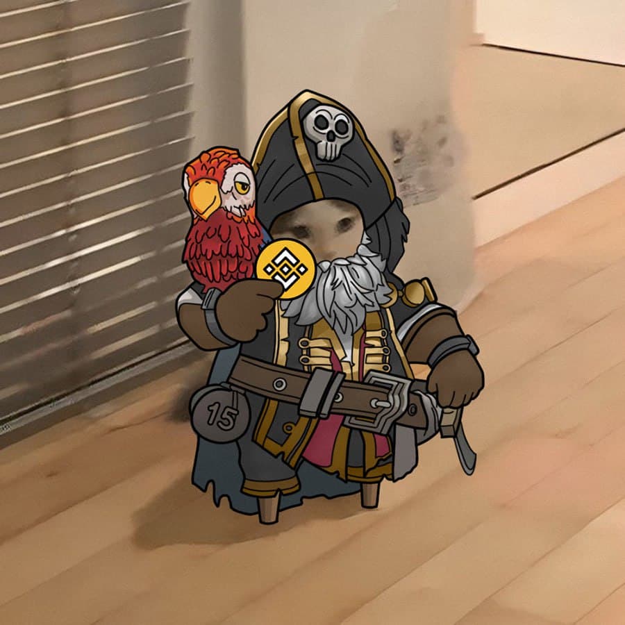 exchanges binance pirates