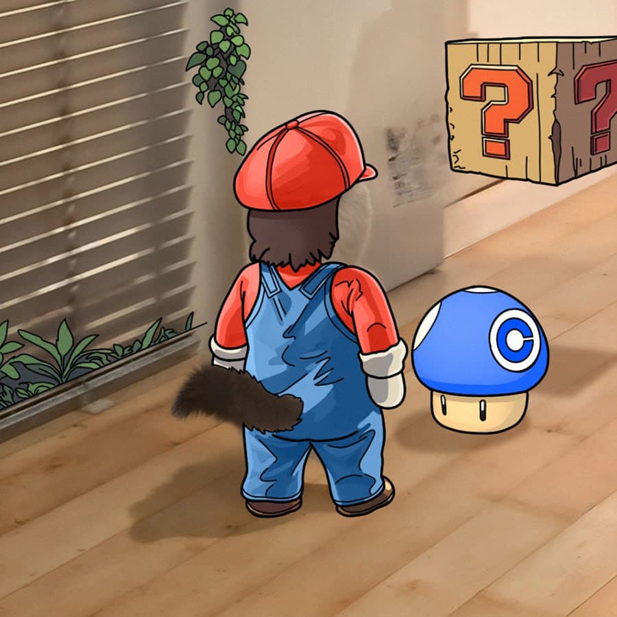 exchanges coinbase supermario