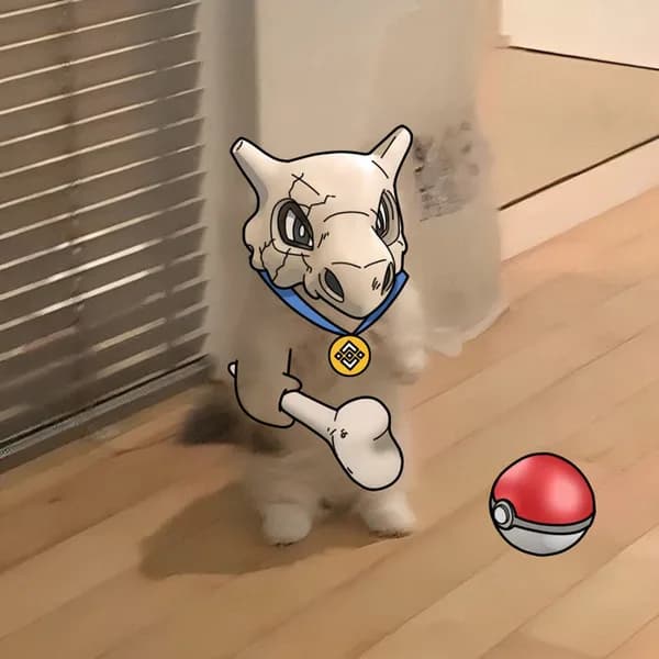 exchanges binance pokemon