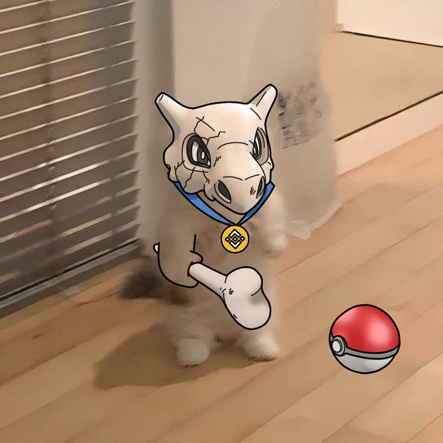 exchanges binance pokemon