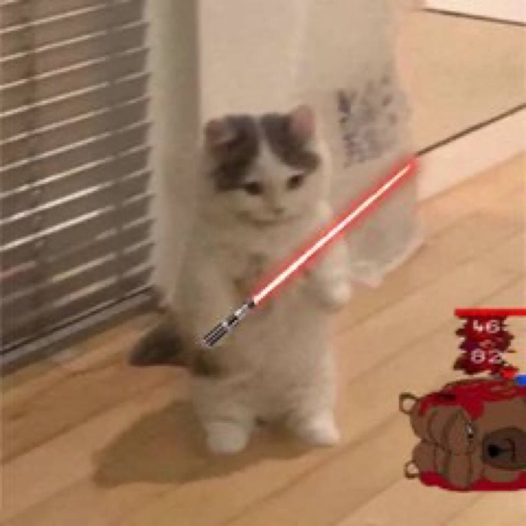 bear lightsaber starwars jedi sith