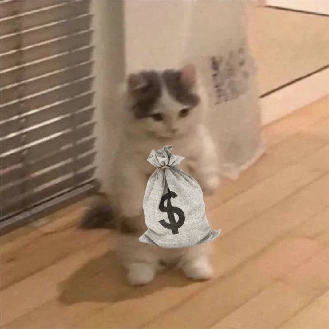 money rich gmichi wagmichi bag
