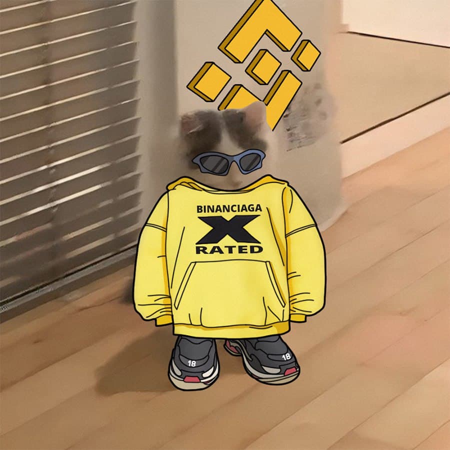 binance exchanges balenciaga luxury drip swag hoodie sunglasses