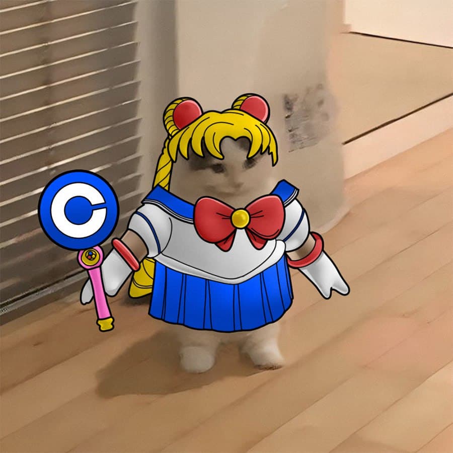 coinbase exchanges sailormoon anime