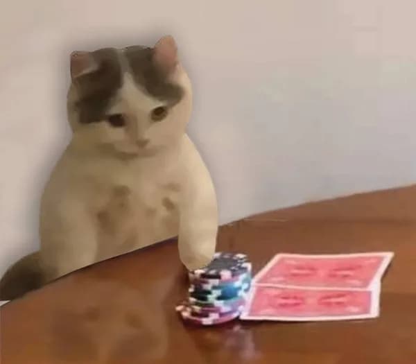 poker cute cards gambling chips allin