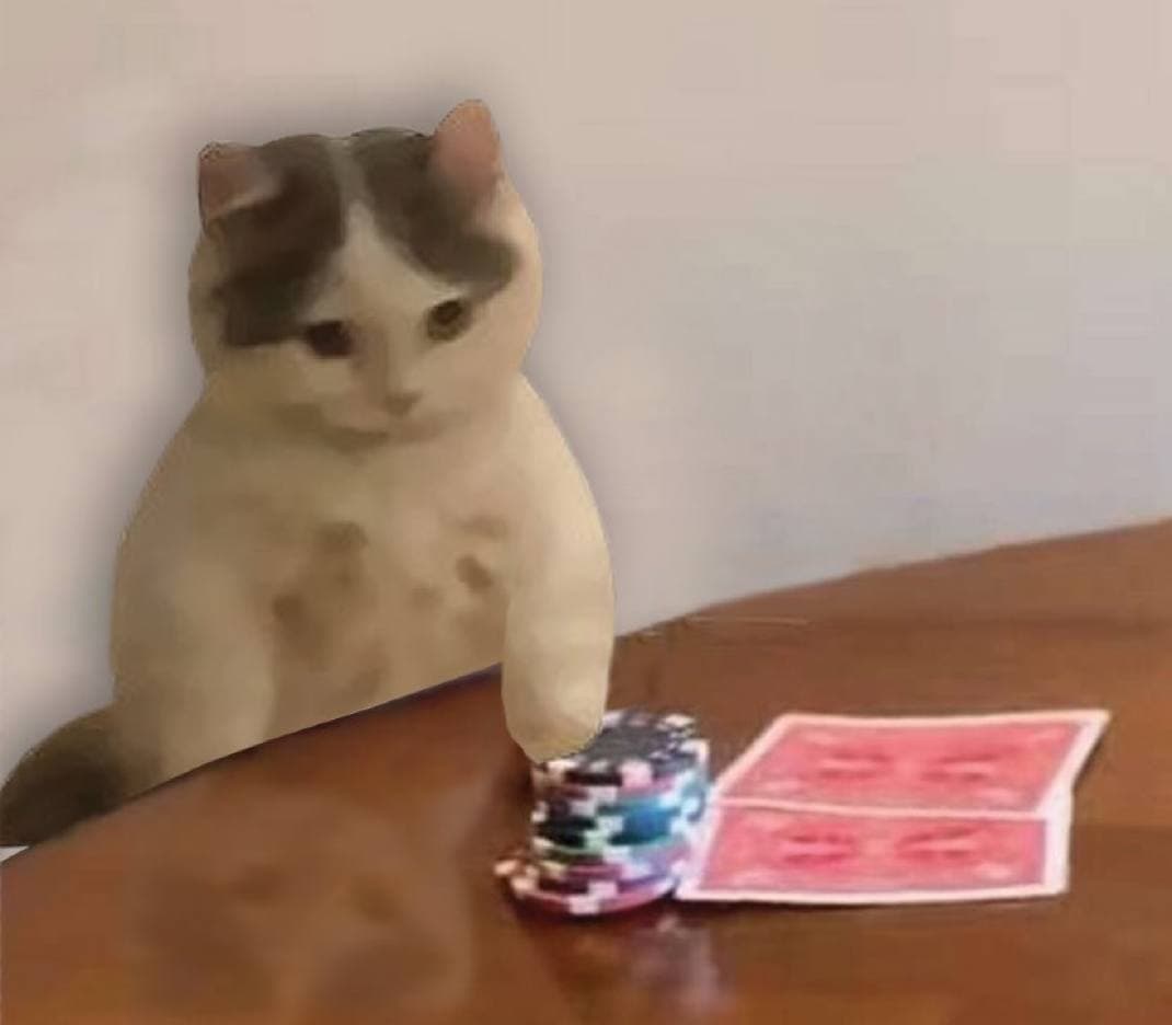 poker cute cards gambling chips allin