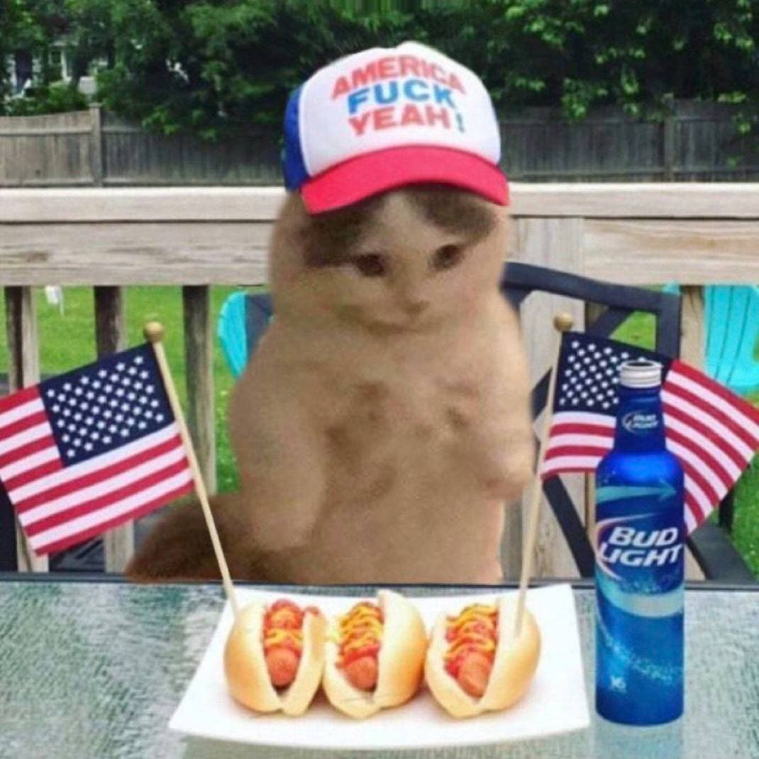 hotdog hat beer funny food cook