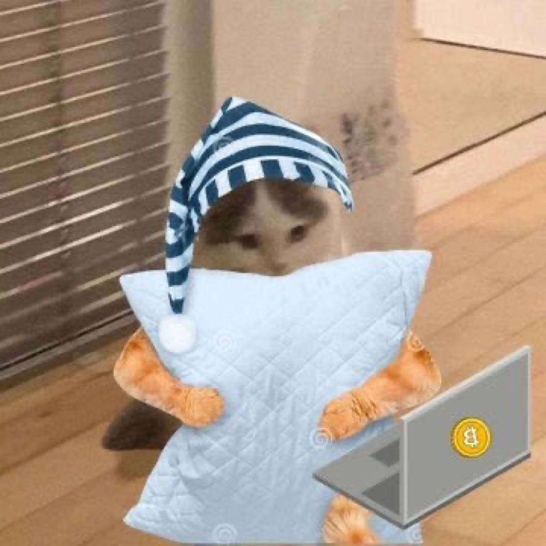 gnichi hat pillow sleep cute