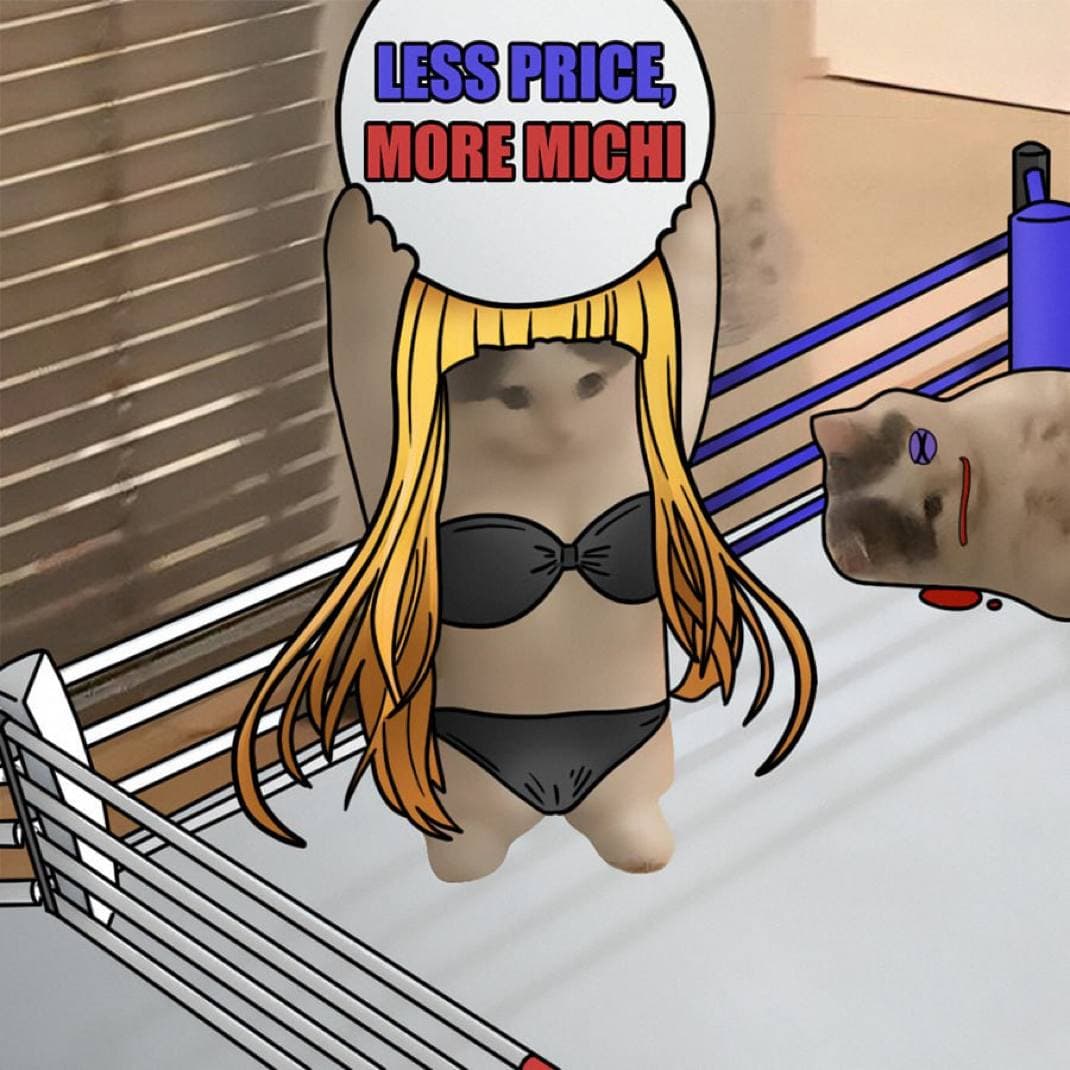 lesspricemoremichi sign ring boxing