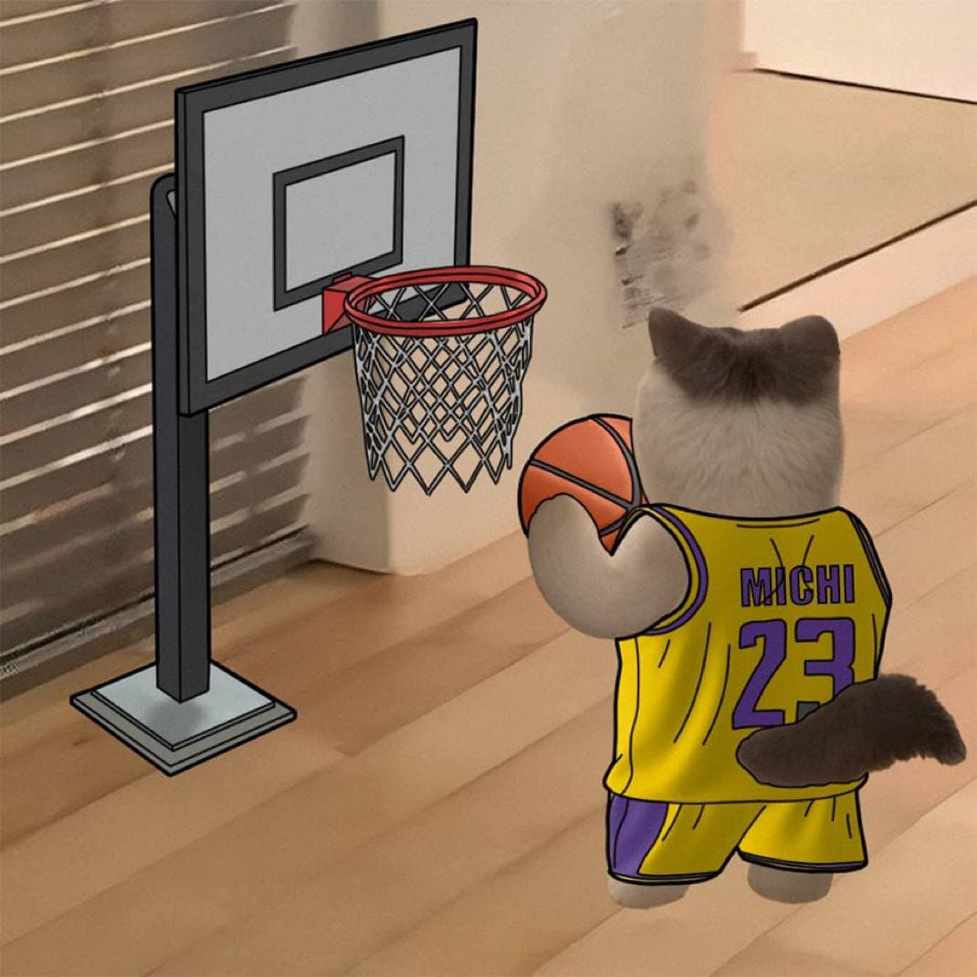 basketball lebronjames nba