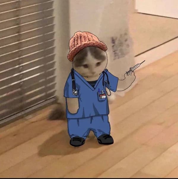 doctor wif hat