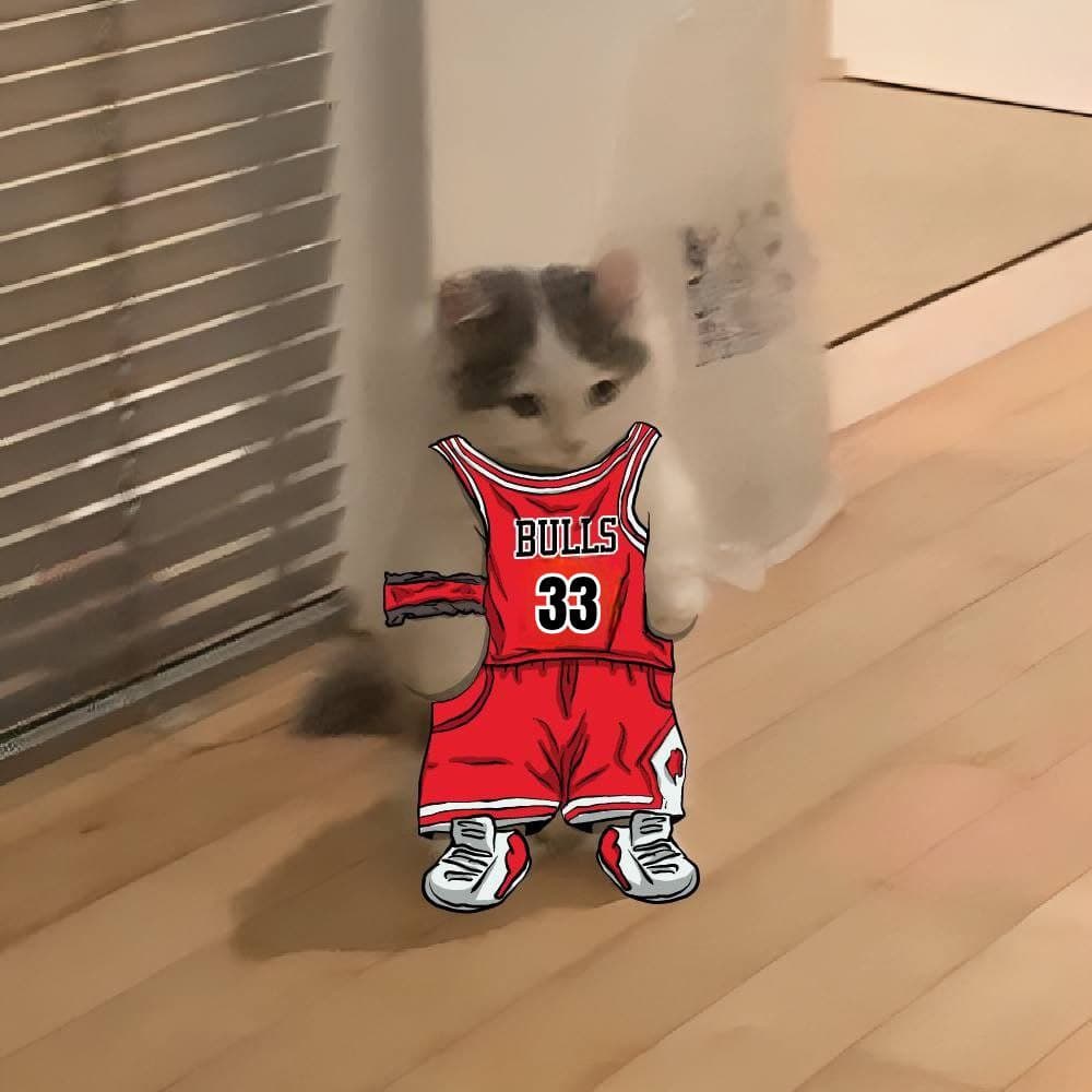 scottiepippen bulls nba basketball