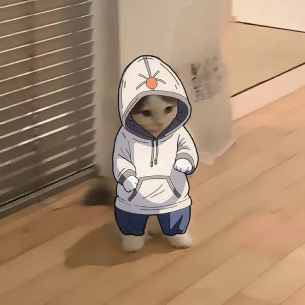 hoodie sweater