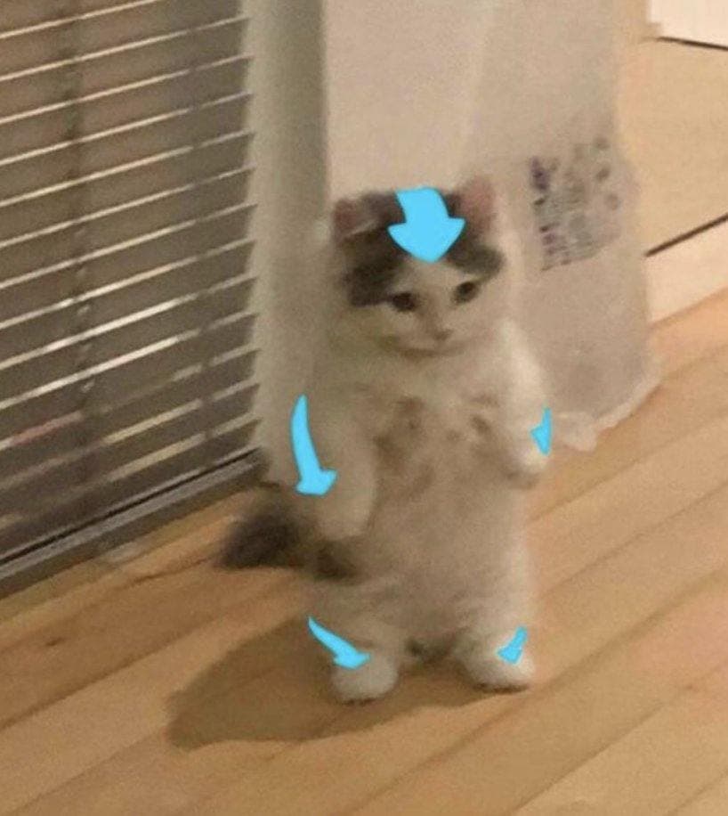 green reversal candle up bullish