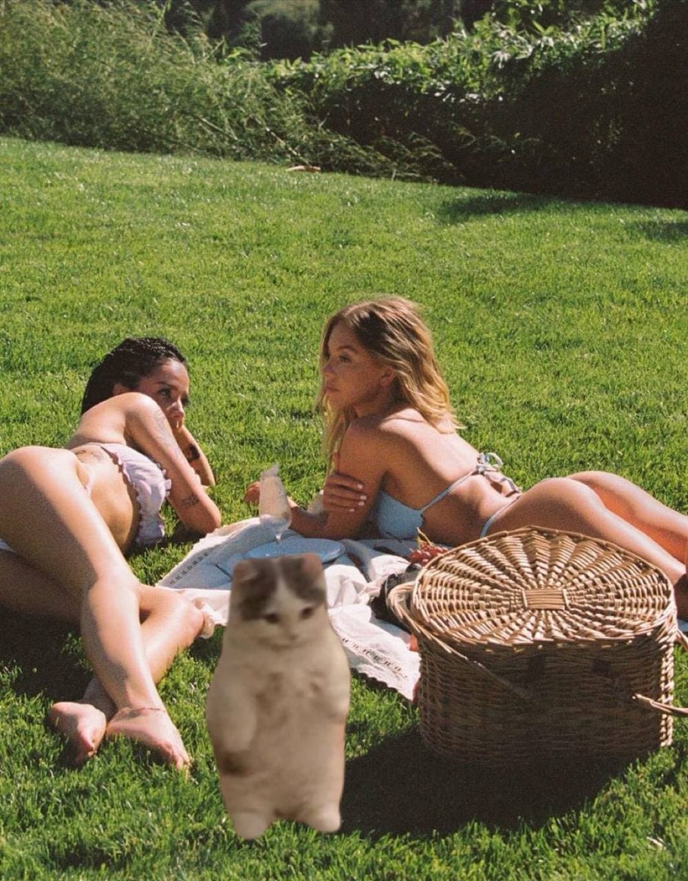 girls ass sydneysweeney outdoors picnic gyatt