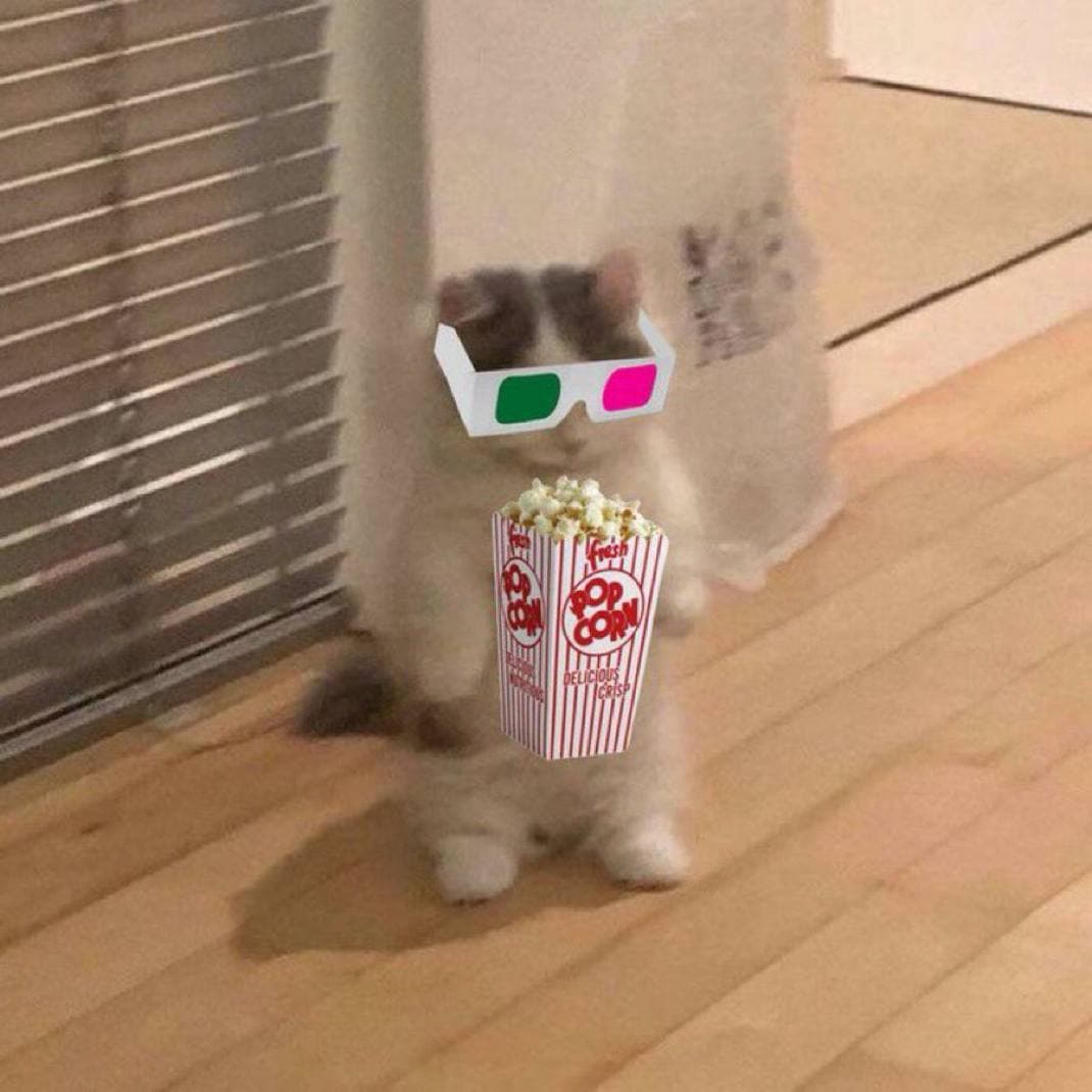 popcorn sunglasses
