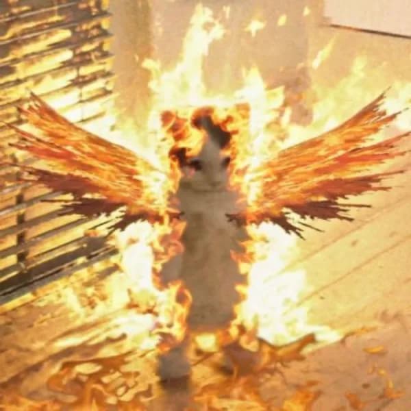 fire phoenix wings