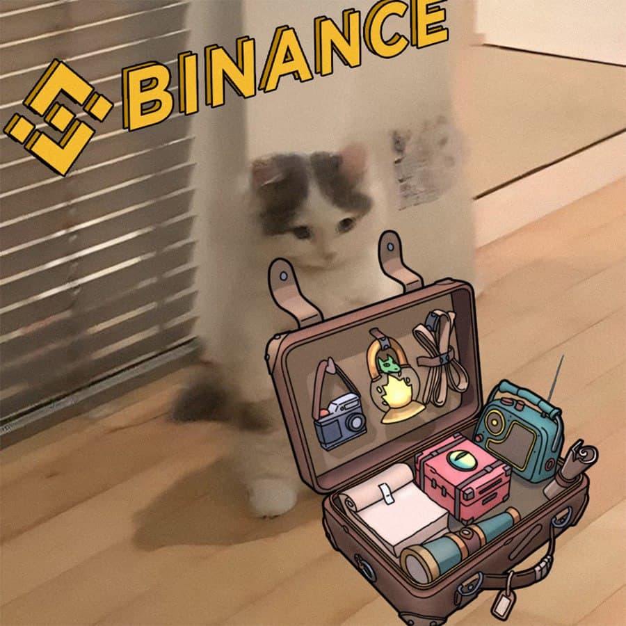 binance exchanges suitcase pack bags