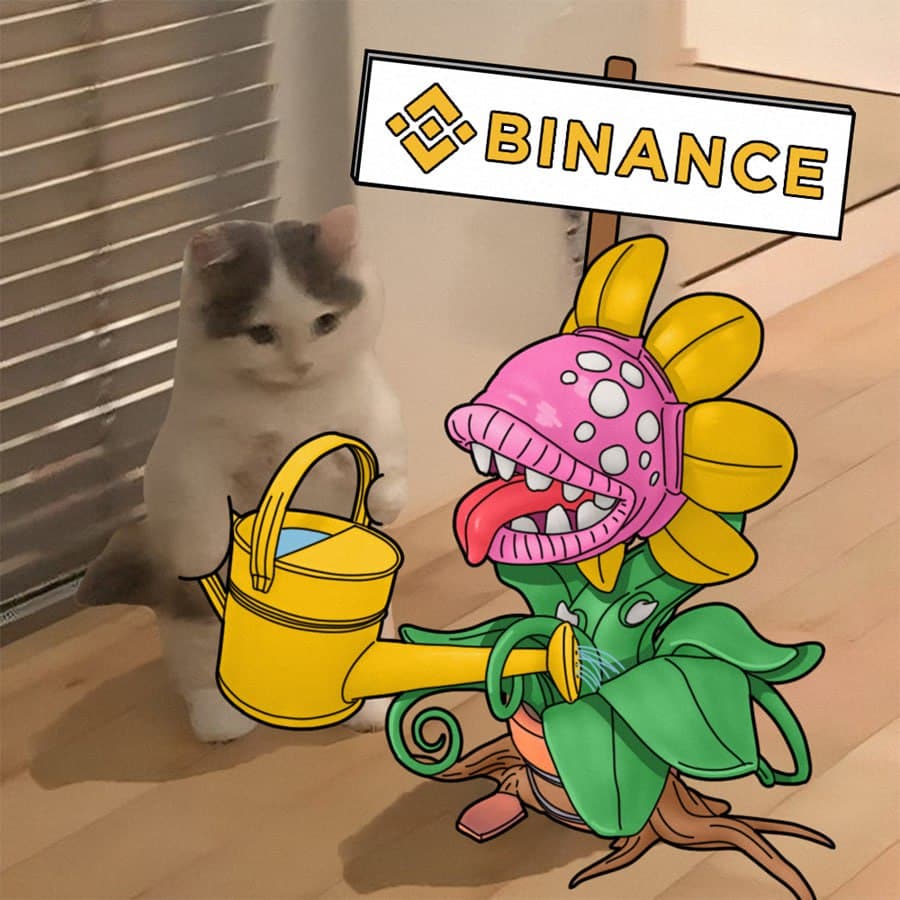 binance exchanges flower water