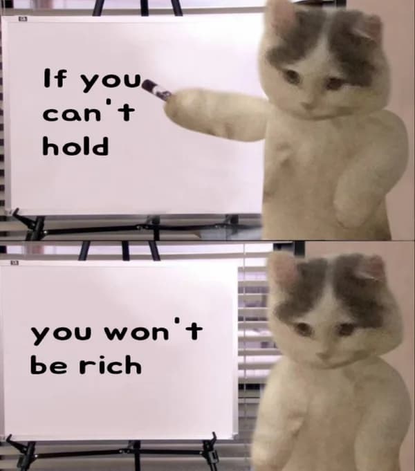 hold hodl rich cz