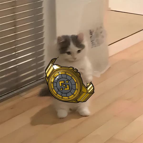 binance exchanges time watch
