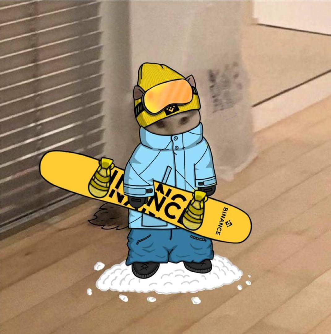 snowboard binance sports