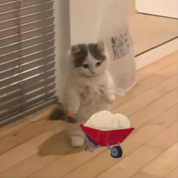 bigballs nuts