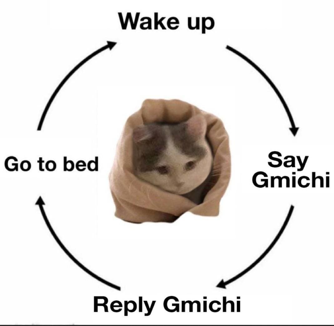 gmichi wakeup sleep repeat cycle