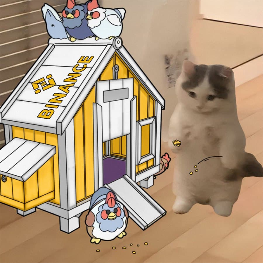 binance exchanges doghouse birds rooster chicken coop