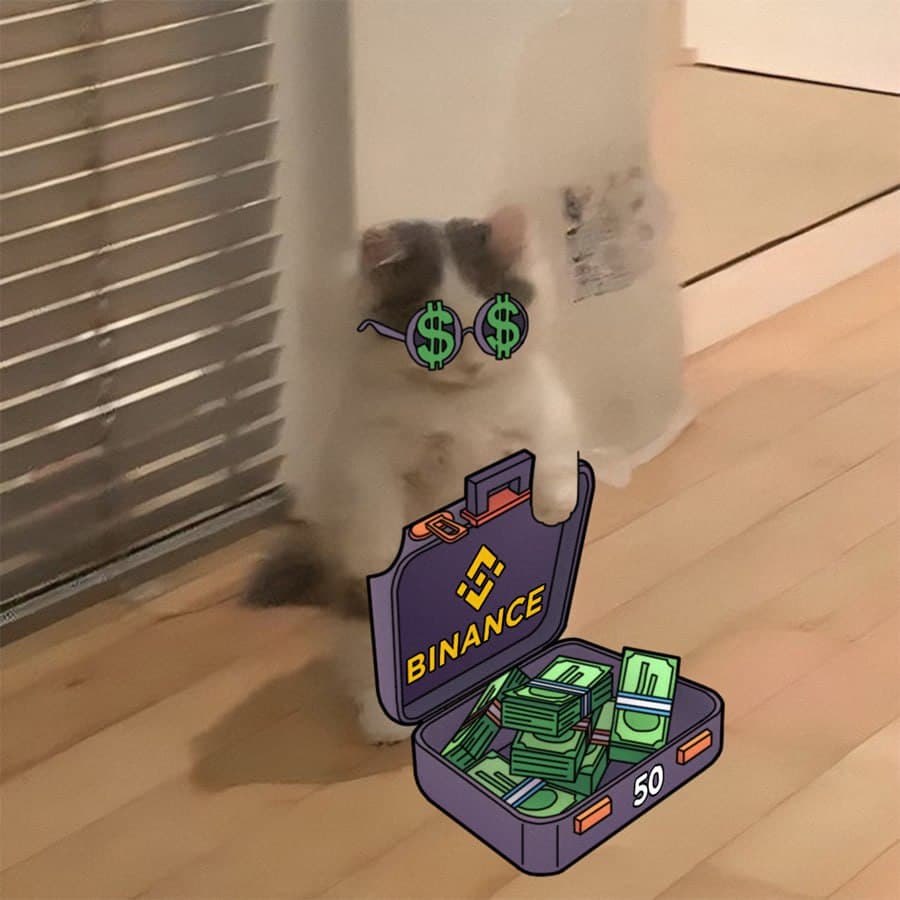 binance exchanges money suitcase