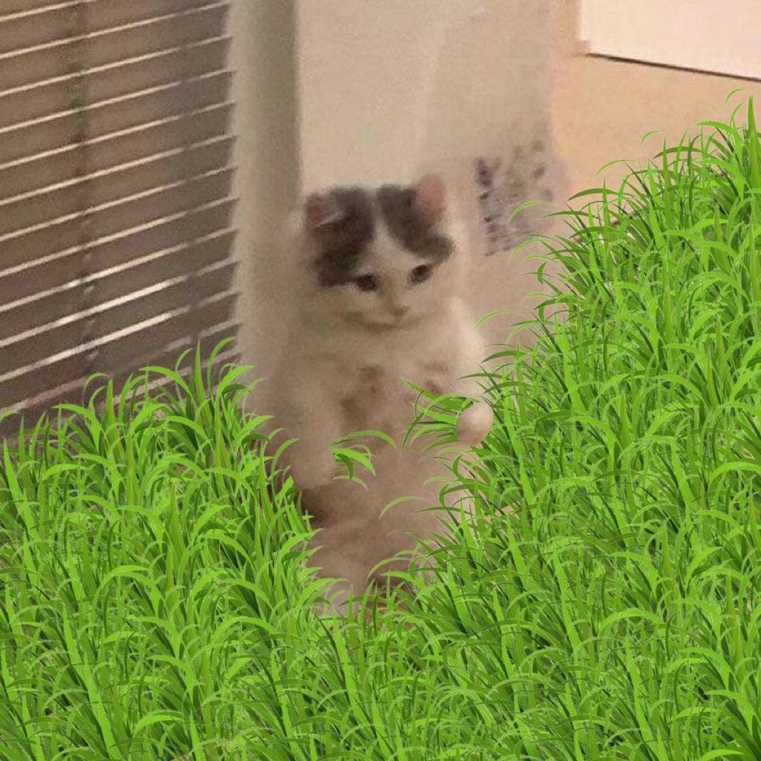 grass green mood cute