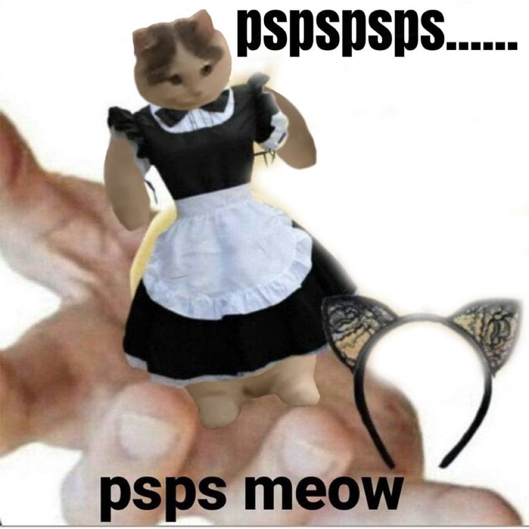 pspsmeow maid hand hold