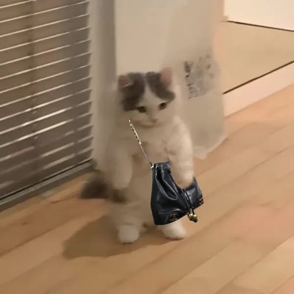 chanelbag
