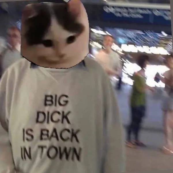 bigdick funny shirt
