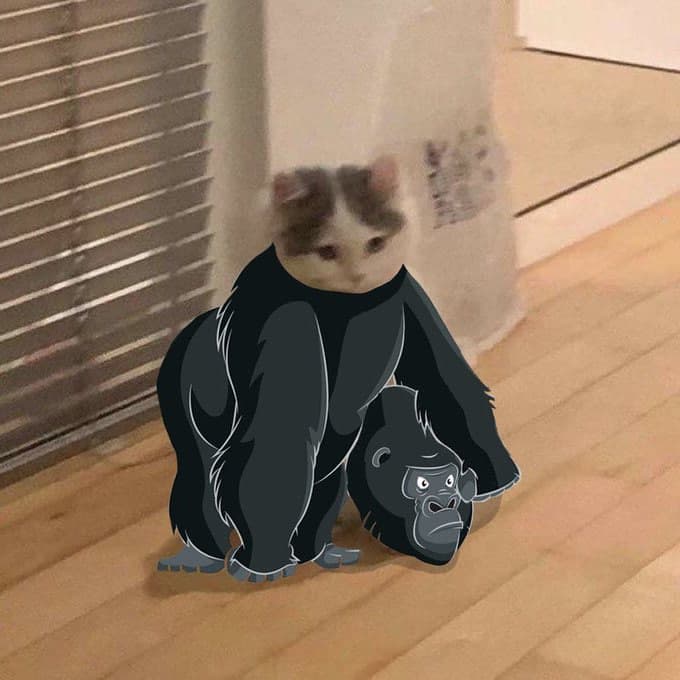 gorilla harambe costume monkey