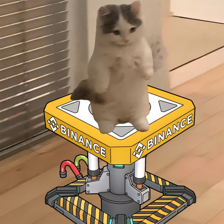 binance exchanges launchpad